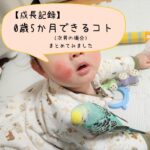 セキセイインコと赤ちゃん