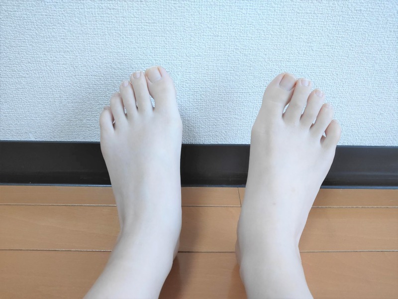 東京ダックの足の形